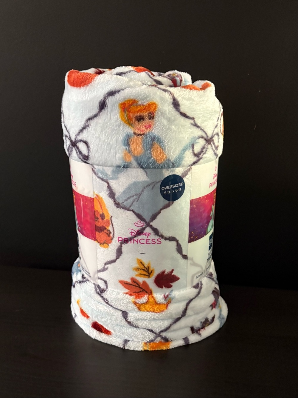 NEW Disney Cinderella Fall Autumn Throw Blanket 5’x6’ The Big One 2025 Design